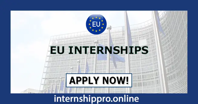 EU Internship