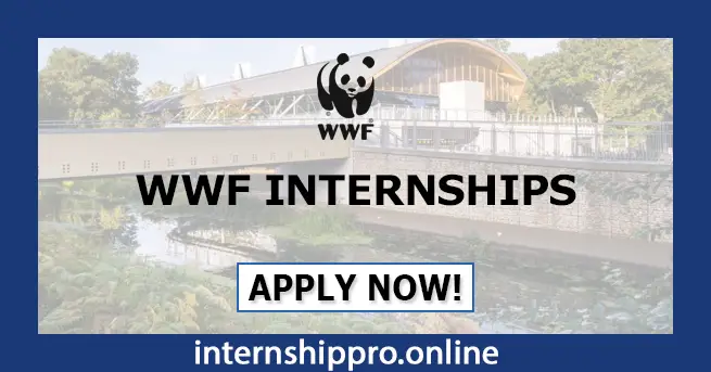 WWF Internship