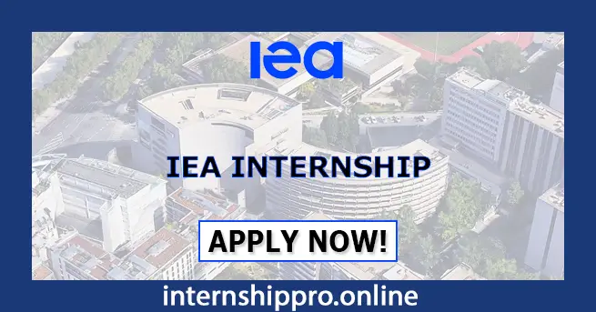 IEA Internship