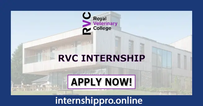 RVC Internship