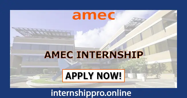 AMEC Internship