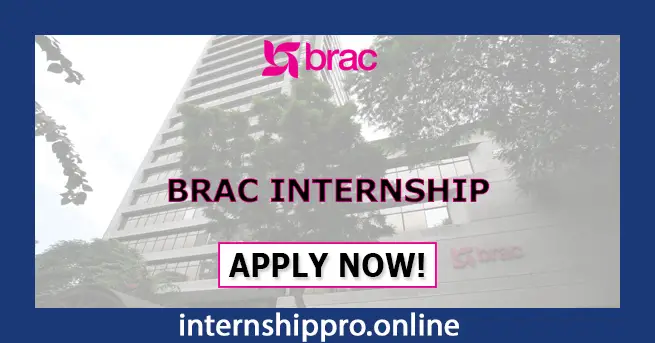 BRAC Internship