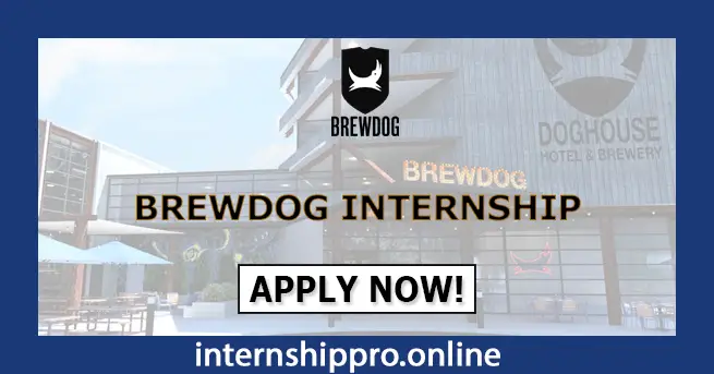 Brewdog Internship