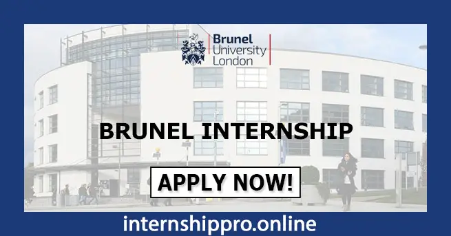 Brunel Internship