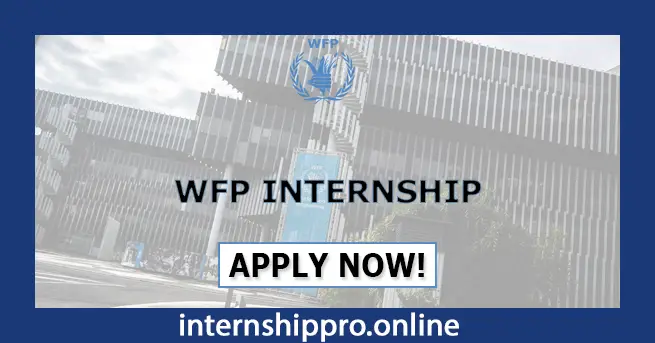 WFP Internship